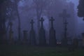 Graves and crosses under trees with a horror atmosphere in cemetery Royalty Free Stock Photo