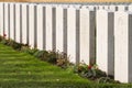 Graves in Flanders Fields Royalty Free Stock Photo