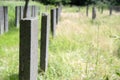 Graves At The Jewish Cemetery Zeeburg At Amsterdam The Netherlands 22-6-2020