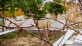 Graves at a Muslim cemetery. The blur and out-of focus is intentionally done Royalty Free Stock Photo