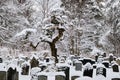 the graves in an old cemetery covered with snow in winter Royalty Free Stock Photo