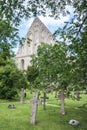 Graves at old cemetery of St. Brigitta convent in Pirita region, Tallinn Royalty Free Stock Photo