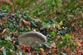 Graves in the old Jewish cemetery in Wroclaw, Wroclaw, Poland, Europe 2018