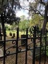 Graves in Savannah