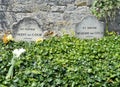 Graves of theo and vincent van gogh, france Royalty Free Stock Photo
