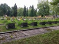 Graves to the fallen soldiers in the Second World War in the cemetery in Lviv