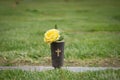 Graveside Flowers for Memorial