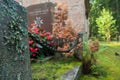 Gravestone and chain at old beautiful semetery in Finland