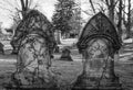 Gravestone covered in dried vines reading Mother