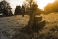 Gravestone cross at sunset with selective colour
