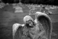 Gravestone Grave Stone in Cemetery Angel Statue