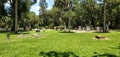 Gravestone at oak hill cemetery in Bartow Florida