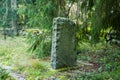 Gravestone at old beautiful semetery in Finland