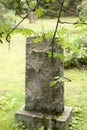 Gravestone at old beautiful semetery in Finland