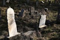 Gravestones on abandoned jewish cemetery near Trstin, western Slovakia