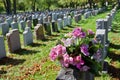 Gravestones in an american Cemetery