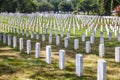 Gravestones at Arlington National Cemeterey