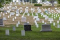 Gravestones at Arlington National Cemetery