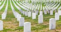 Gravestones on Arlington National