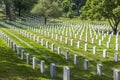 Gravestones on Arlington National