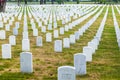 Gravestones on Arlington National