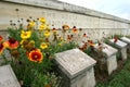 Gravestones in the Beach Cemetery on the Gallipoli Peninsula in Turkey.