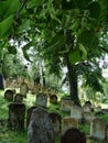 Gravestones on cemetery