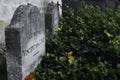 Gravestones of the Dutch painter Vincent van Gogh in Auvers -sur-Oise Royalty Free Stock Photo