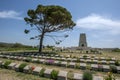 The Lone Pine Cemetery and Memorial at Gallipoli in Turkey. Royalty Free Stock Photo