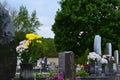 Gravestones and floral tributes