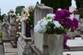 Gravestones with floral tributes Royalty Free Stock Photo