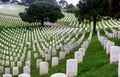 Gravestones in Fort Rosecrans Military Cemetery Royalty Free Stock Photo