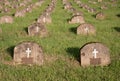 Gravestones in graveyard Royalty Free Stock Photo