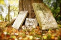 Gravestones Leaning Against a Tree in Autumn