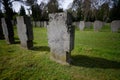 gravestones of a military cemetery in cologne