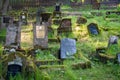 Gravestones of an old cemetry