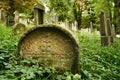 Gravestones in the old Jewish cemetery in Ustek, Czech Republic