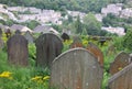 Gravestones overgrown with weeds overlooking the town of hebden bridge at the disused cross lanes former methodist burial ground