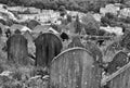 Gravestones overgrown with weeds overlooking the town of hebden bridge at the disused cross lanes former methodist burial ground