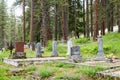 Gravestones at the Roslyn Old City Cemetery in Kittitas County Royalty Free Stock Photo