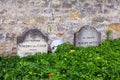 Tombs of the Van Gogh brothers Royalty Free Stock Photo