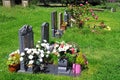 Gravestones, Weobley.