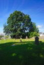 The graveyard of the Beauly Priory, Inverness County, Scotland Royalty Free Stock Photo