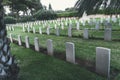 Graveyard for British soldiers who died during the British mandate 1918-1948 , in downtown Haifa