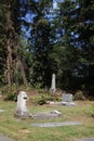 Graveyard cemetery with headstones Royalty Free Stock Photo