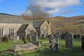 Graveyard on Dartmoor Royalty Free Stock Photo