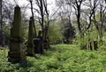 Haunting graveyard and spooky Royalty Free Stock Photo