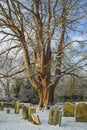 Graveyard - North Yorkshire - England Royalty Free Stock Photo