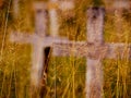 Peaceful abstract cemetery scenery, detail with weathered stone crosses and dry plants