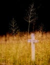 Graveyard peaceful detail scenery with dry plants, light and shadow